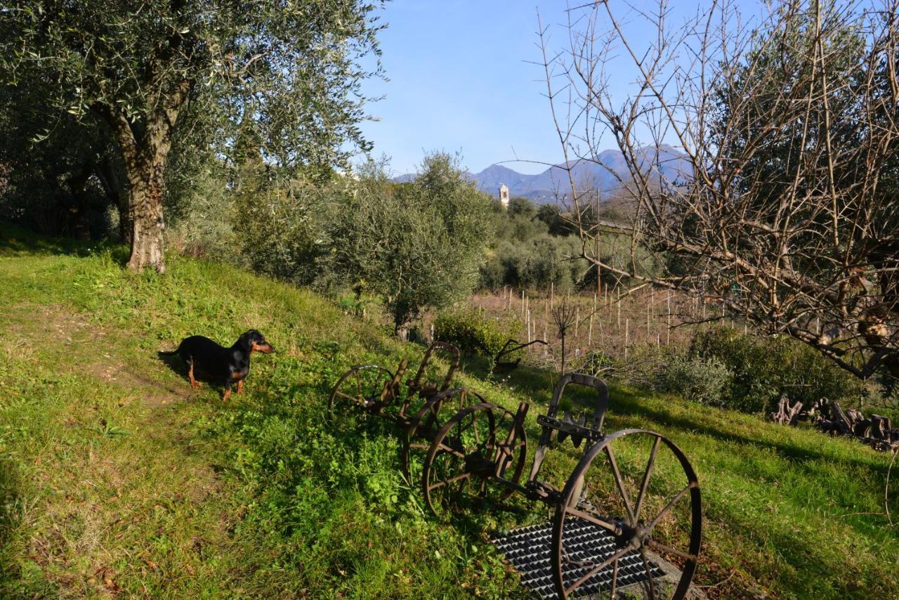 Antiche Mura Casa Vacanze Puegnago Exterior photo